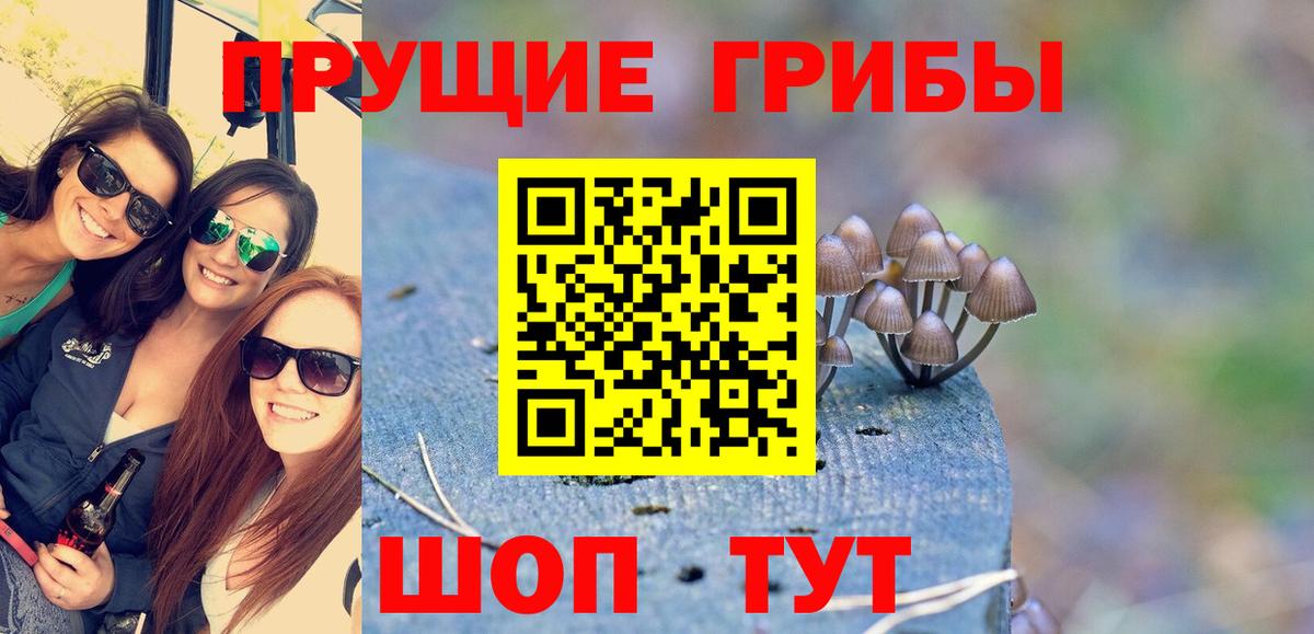 Галлюциногенные грибы мицелий  Вход с VPN  закладки  Малгобек  Псилоцибиновые грибы Cubensis 